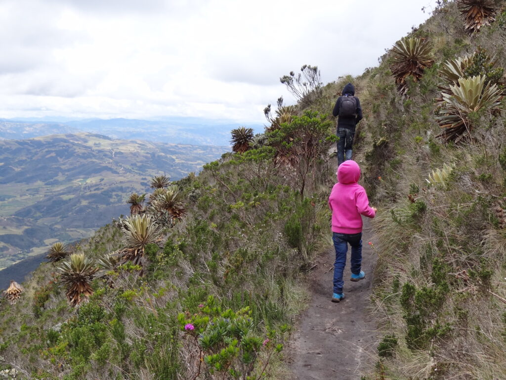 Santuario de Flora y Fauna de Iguaque, Boyacá